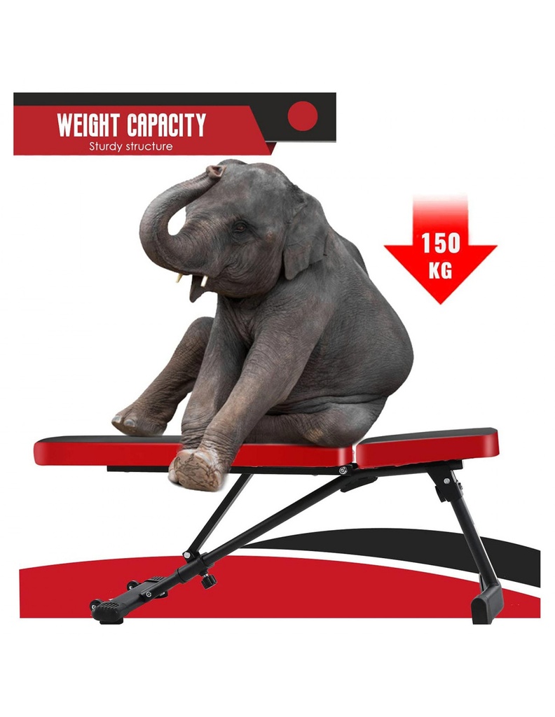 SY-5021 SAN FRANCISCO_10.jpg