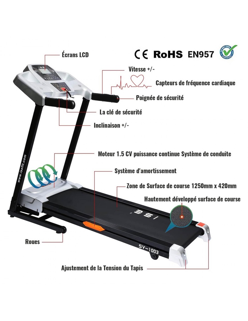 SY-1003 BOMBAY_13.jpg